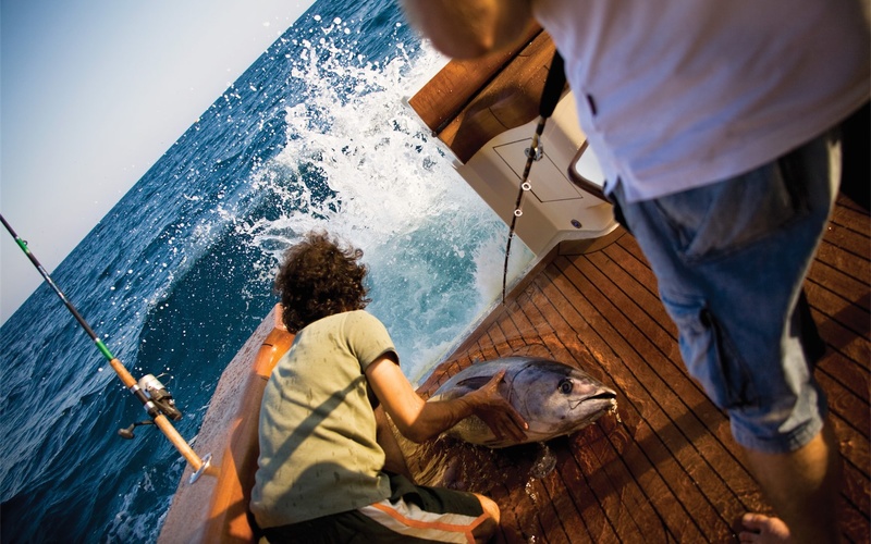 Vicem Sportfish 57