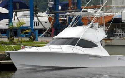 Fishing Raptor 42 Convertible