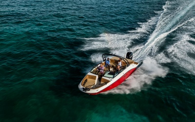 Sea Ray SPX 230 OB
