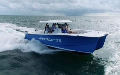 Hammer Cat 35