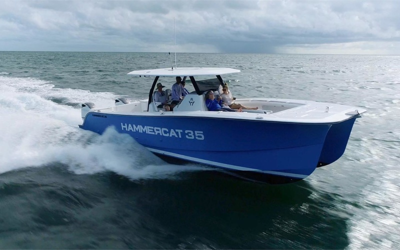Hammer Cat 35