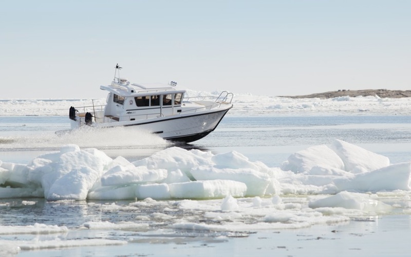 Minor Offshore 31