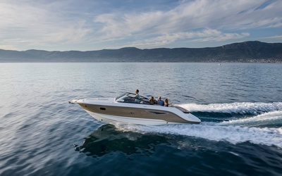Sea Ray 250 Sun Sport