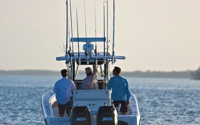 SeaVee 290