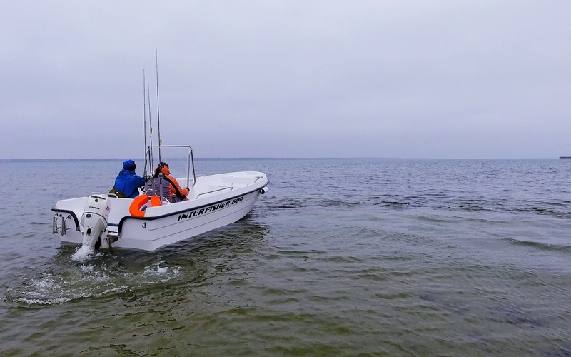 Interfisher 600
