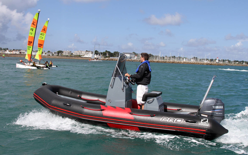 Zodiac Pro 550 Classic