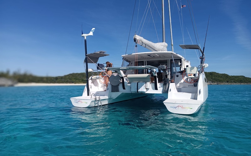 C-Cat 38