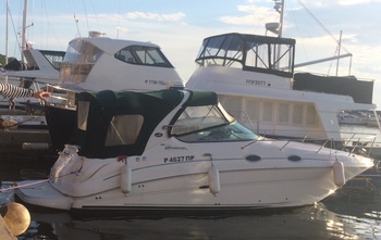 Sea Ray 315 Sundancer   (2006)