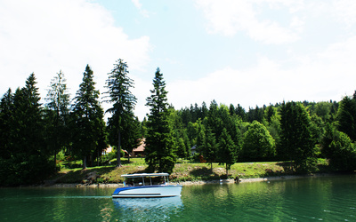 Alfastreet Marine 18 Open Electric