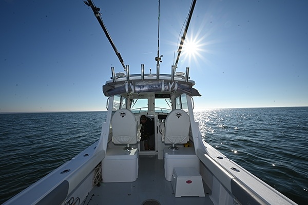 Steiger Craft 255 Miami
