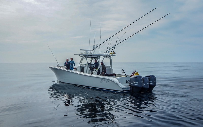 Yellowfin 39 Offshore