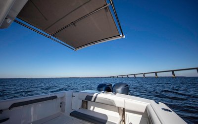 Albemarle 31 Dual Console