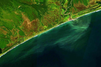 Kamchatka surfers reported pollution in the Pacific Ocean 
