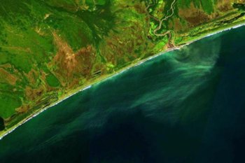 Kamchatka surfers reported pollution in the Pacific Ocean 