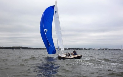 Tartan Fantail