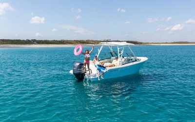 Cobia 240 DC