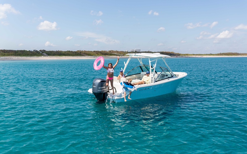 Cobia 240 DC