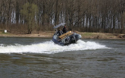 R.I.B.-Line MV 800