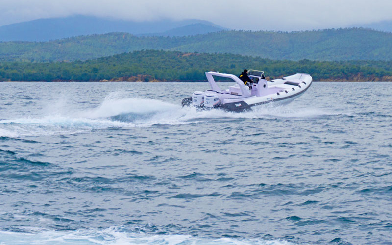 Selva D.900 Special