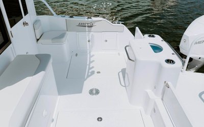 ArrowCat 320 Coupe