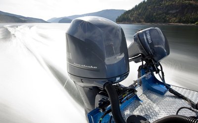 KingFisher 2025 Escape