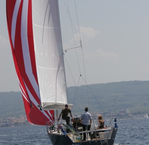 Cobra 33