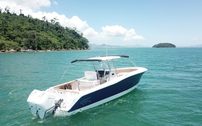 Fishing Raptor 320 СС