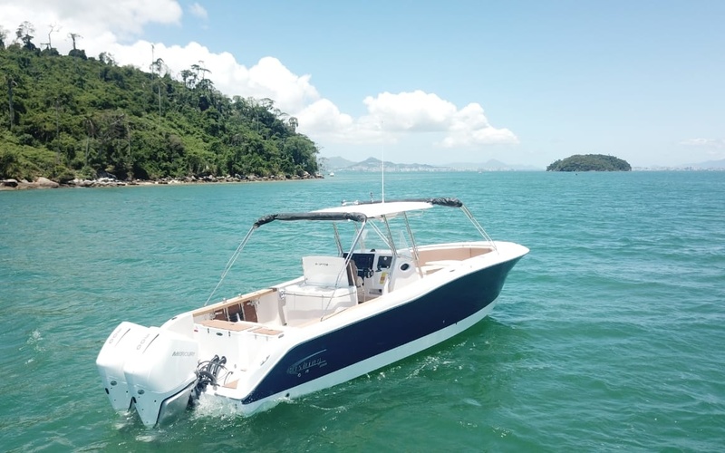 Fishing Raptor 320 СС
