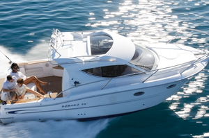 Sessa Dorado 26