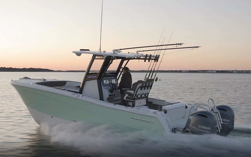 World Cat 260CC-X