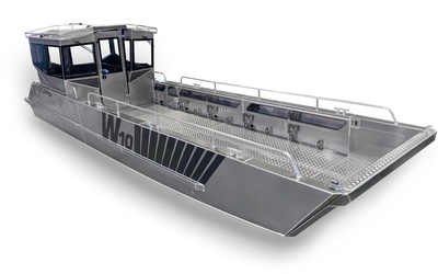 Victory W10