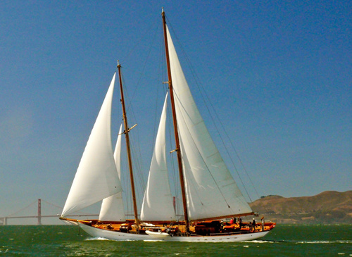 Brooke Marine Eros