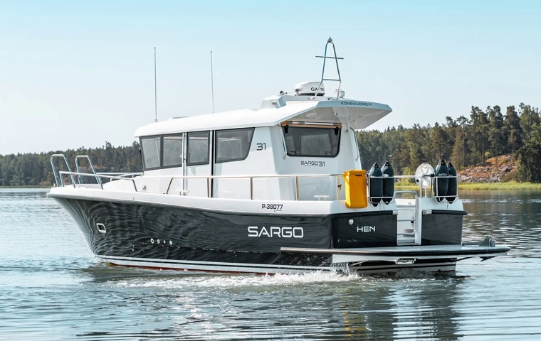 Sargo 31 (2016)