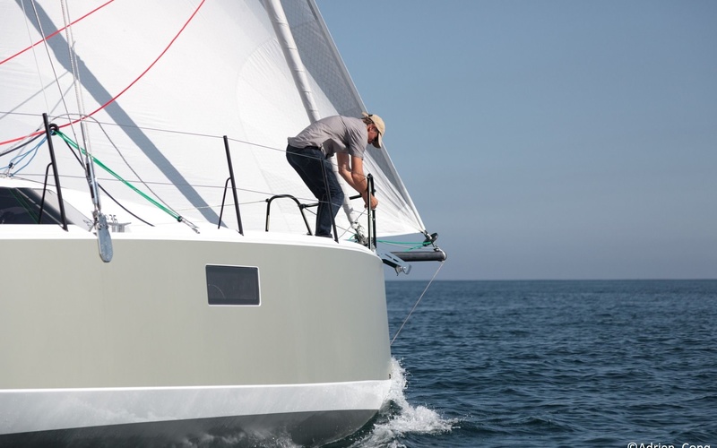 Pogo 36