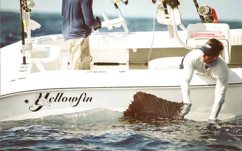 Yellowfin 29 Offshore