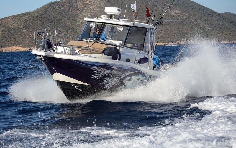 Mercan Bonito 32 OB