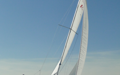 Viko S 22
