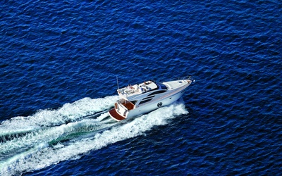 Rodman Muse 50