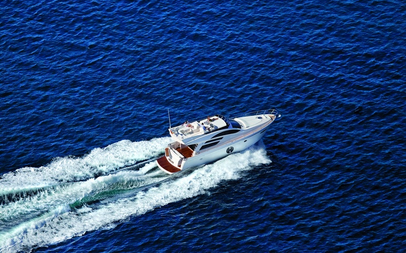 Rodman Muse 50