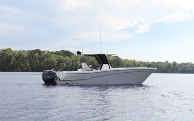 World Cat 280CC-X