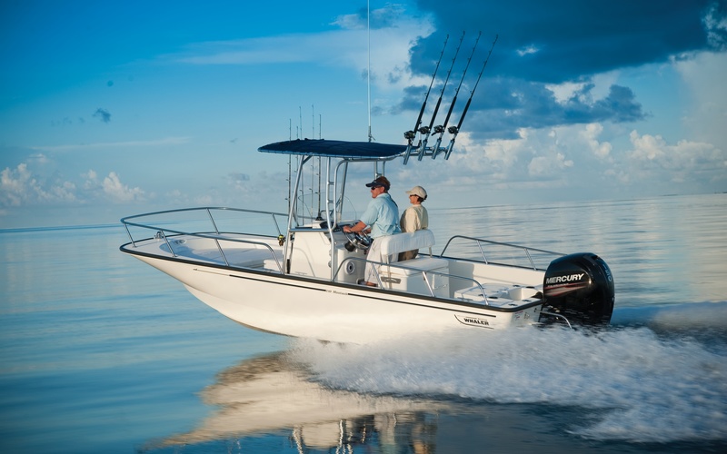 Boston Whaler 210 Montauk
