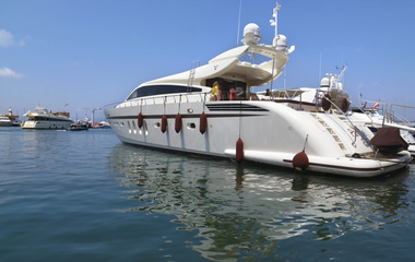 Leopard Eclat