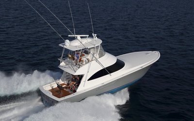 Viking 48C