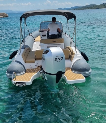 Salpa Soleil 23