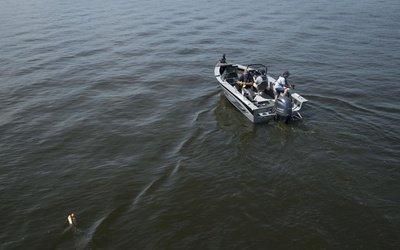 Starcraft Superfisherman 186