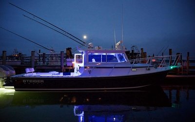 Steiger Craft 31 Miami