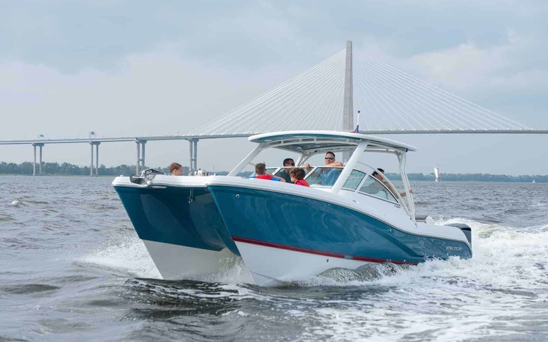 World Cat 296DC