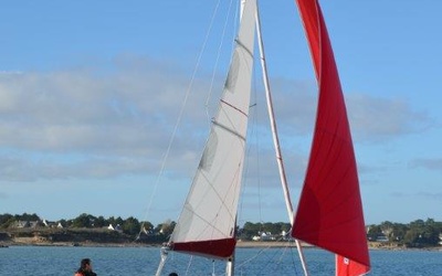 Astus 24