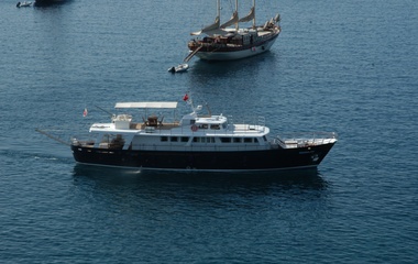 Benetti Black Pepper