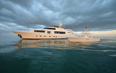 Westport Lady Gray